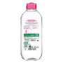 Garnier - SkinActive - Solution Micellaire Tout en Un - Peaux Sèches et Sensibles - Grand Format 400 ml (Lot de 2)