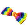 TRIXES 2 Noeud Papillon et Bretelles Arc-en-ciel Bretelles élastiques en forme de Accessoires pour Déguisements de Fête et Événe