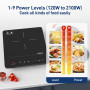 Plaque à Induction Portable, Plaque de Cuisson à Induction 2100W, Table Induction 1 Foyers, Avec Minuterie, Verrou Enfants (Plaq