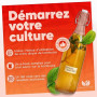 Natural Probio® Scoby Kombucha, Mère de Kombucha, Kit Fabriqué en France | Mère réutilisable à l'infini, souche non pasteurisée,
