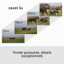 Sony Alpha 6700 Kit Wildlife (APS-C) 16-50 II & 70-350 mm | Autofocus IA, idéal pour la photo d’oiseaux, de safari, de nature, d