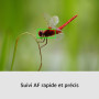 Sony Alpha 6700 Kit Wildlife (APS-C) 16-50 II & 70-350 mm | Autofocus IA, idéal pour la photo d’oiseaux, de safari, de nature, d
