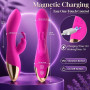 HIVEFUN Rabbit Vibromasseurs Feminin Clitoridien Gode Femme Sex Toy Fuchsia | Sexes Toye Femmes 10 Modes de Vibration, Silicone