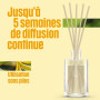 Glade Diffuseur à Bâtonnets, Romantic Vanilla Blossom*, 3 x 50 ml | Parfum d’Intérieur Longue Durée, Diffusion Continue Jusqu’à 