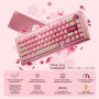 Tryhard Hayami – Clavier Magnétique Gaming 65% | Switchs Hall Effect Ultra-Réactifs 8000 Hz | ARGB Personnalisable | Layout Fran