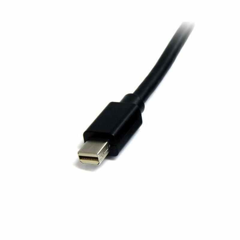 Image secondaire de Mini câble DisplayPort Startech MDISP2M (2 m) 4K Ultra HD Noir